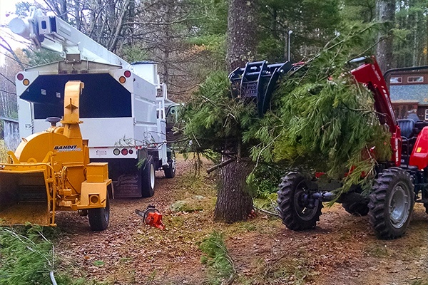 tree branch hauling